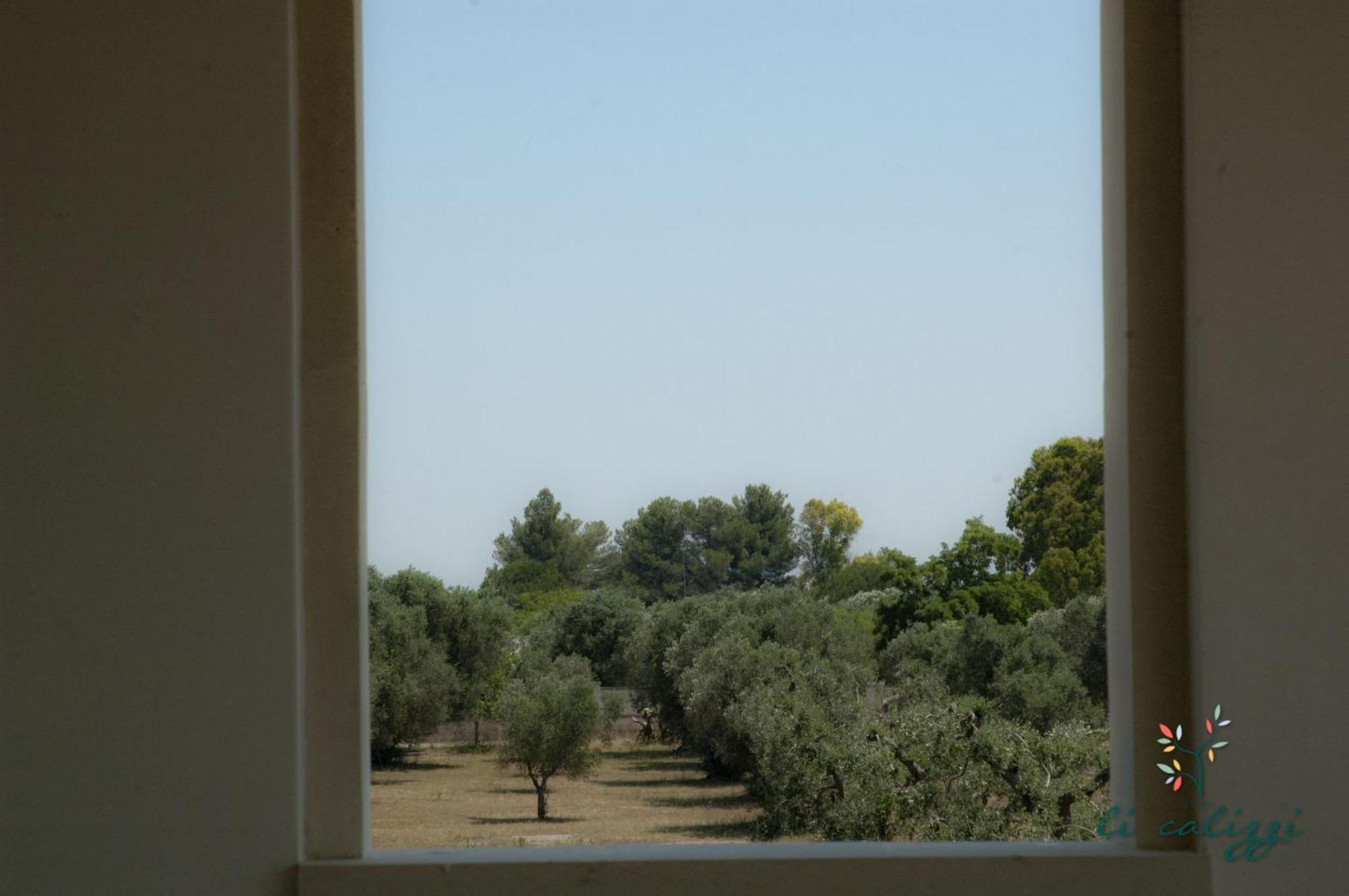 Agriturismo Li Calizzi Arte E Natura Novoli Kamer foto